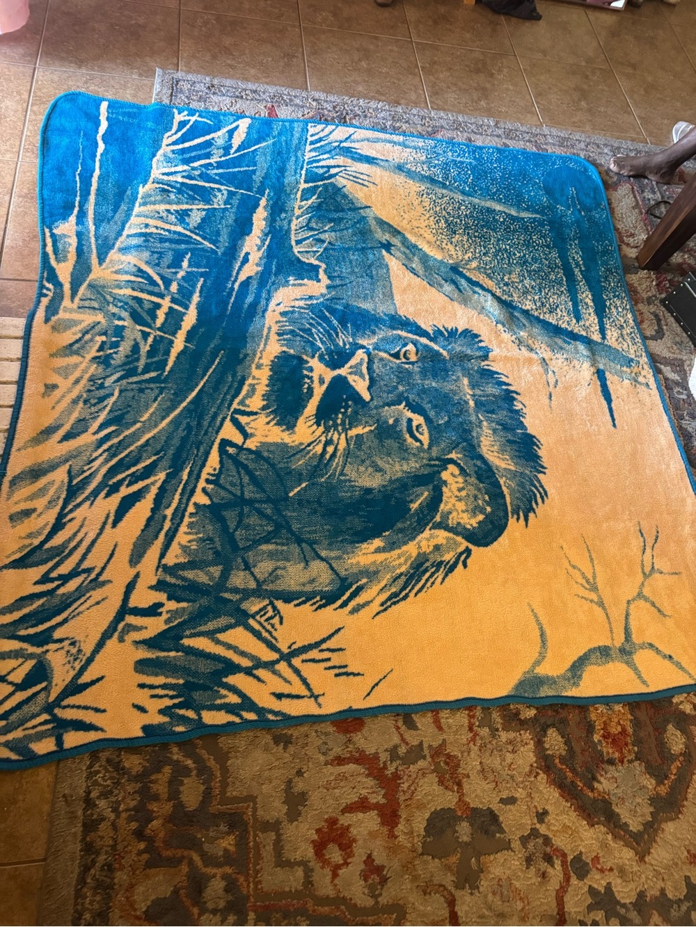San Marcos Lion Print Blue and Ivory Queen Blanket